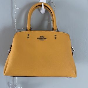 Mini Lillie carryall